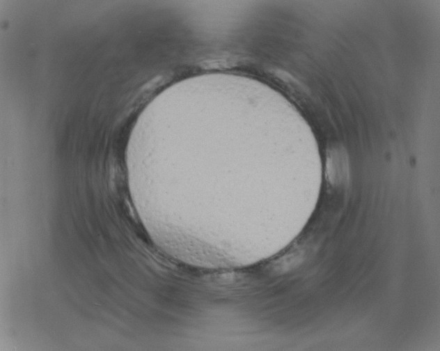 X0000078311444200612011848