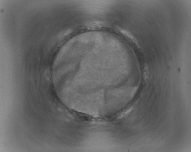 X0000078311445200612011848