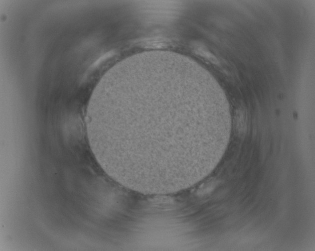 X0000078311446200612011848