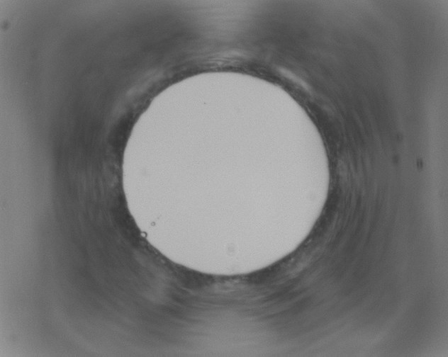 X0000078311447200612011848