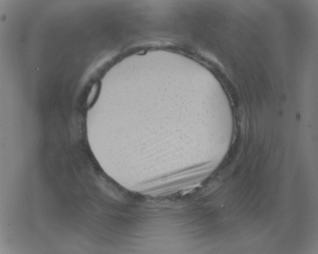 X0000078311448200612011847