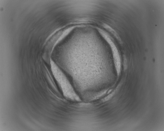 X0000078311449200612011847