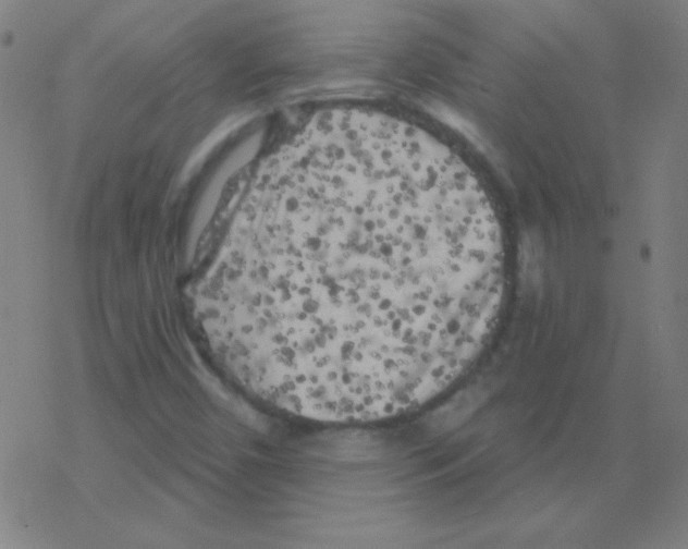 X0000078311450200612011847