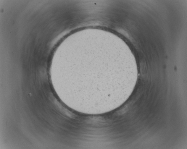 X0000078311452200612011847