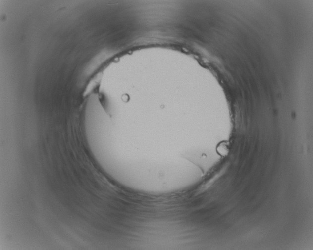 X0000078311453200612011847