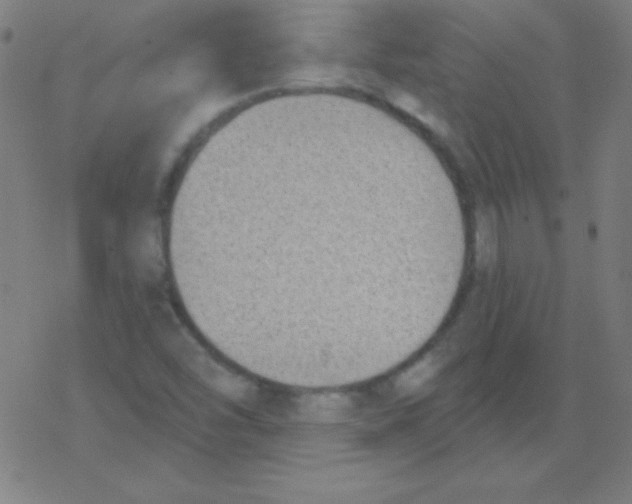 X0000078311454200612011847