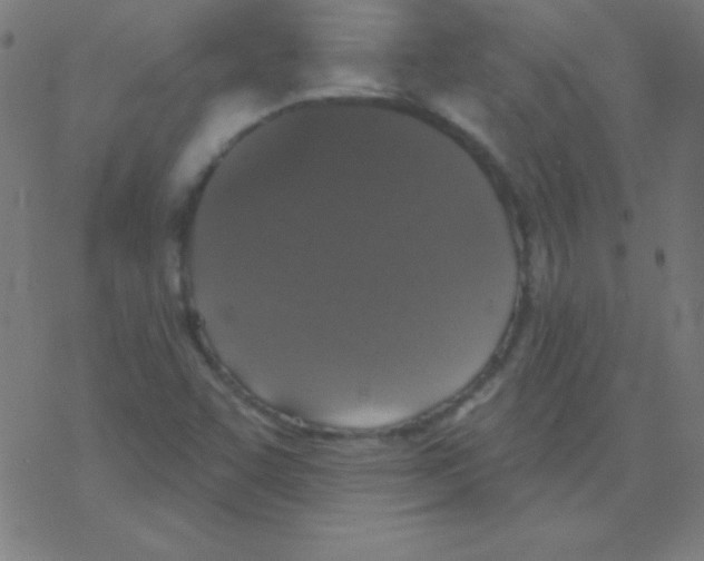 X0000078311455200612011847