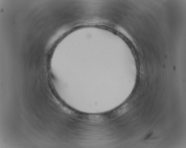 X0000078311456200612011847