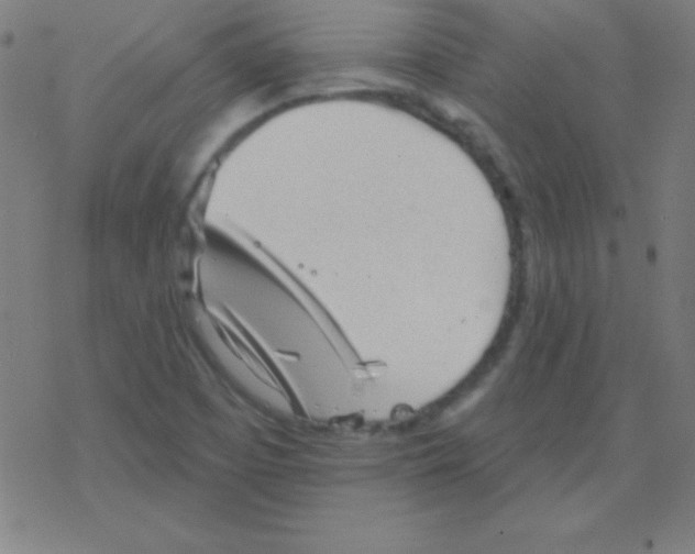 X0000078311457200612011847