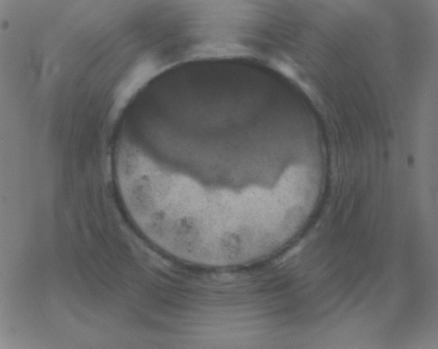 X0000078311459200612011847