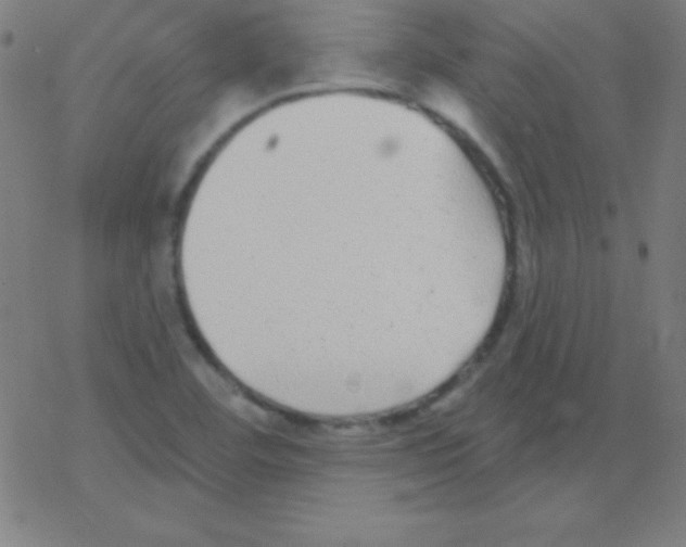 X0000078311460200612011847