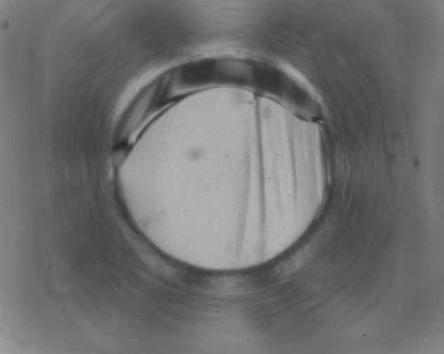 X0000078311461200612011847