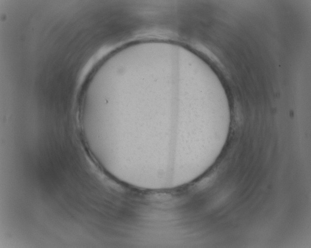 X0000078311462200612011847