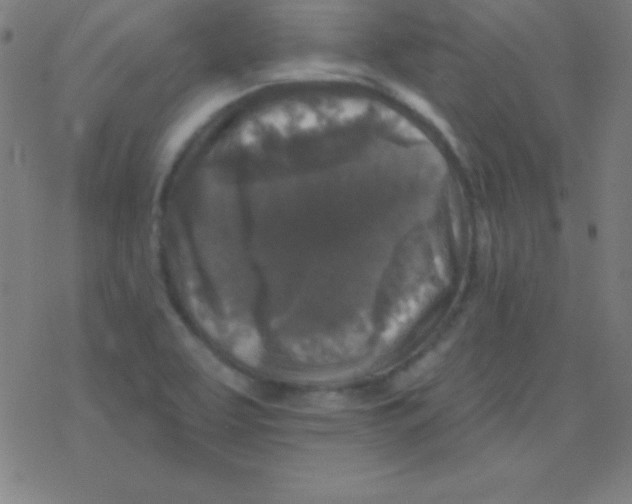 X0000078311463200612011847