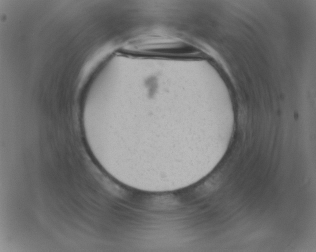 X0000078311464200612011847