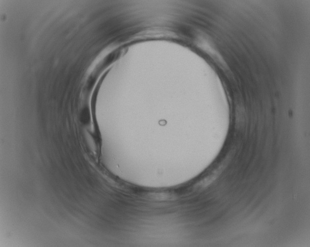 X0000078311465200612011847