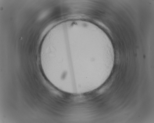 X0000078311467200612011847