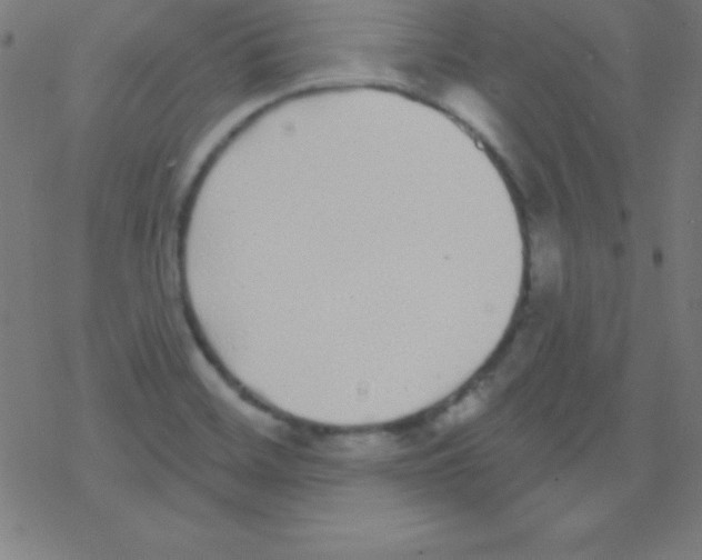 X0000078311468200612011847