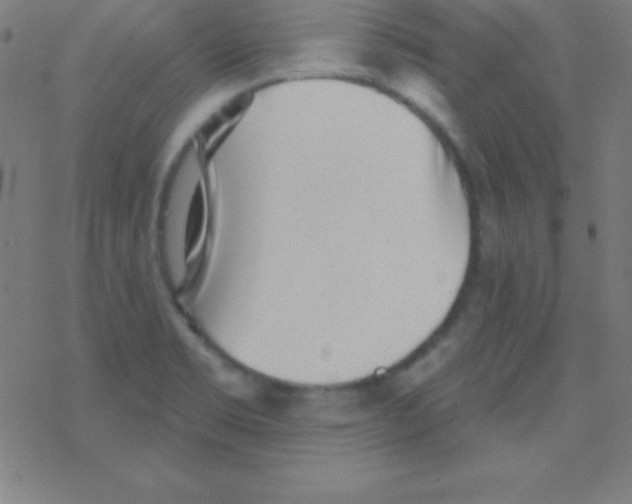 X0000078311469200612011847