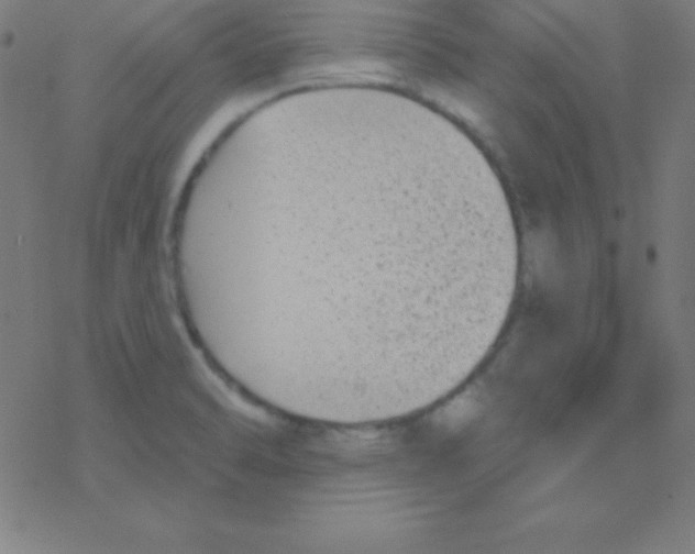 X0000078311470200612011847