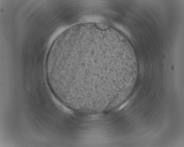 X0000078311471200612011847