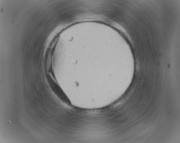 X0000078311472200612011847