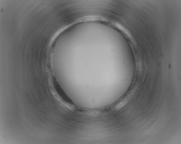 X0000078311473200612011847