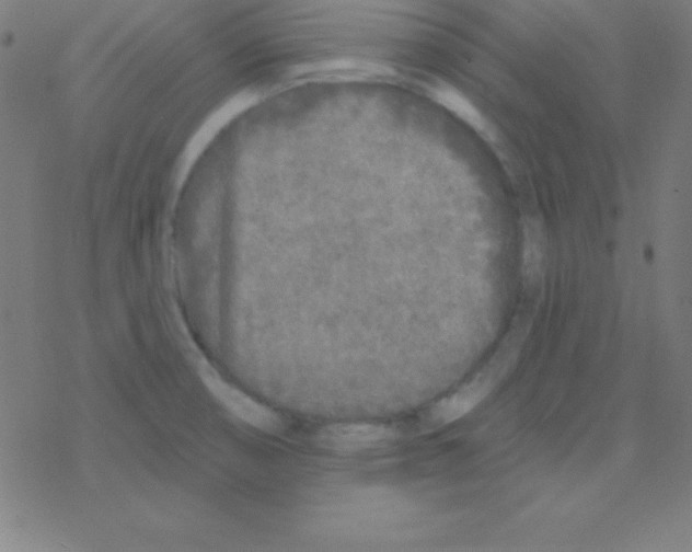 X0000078311474200612011847