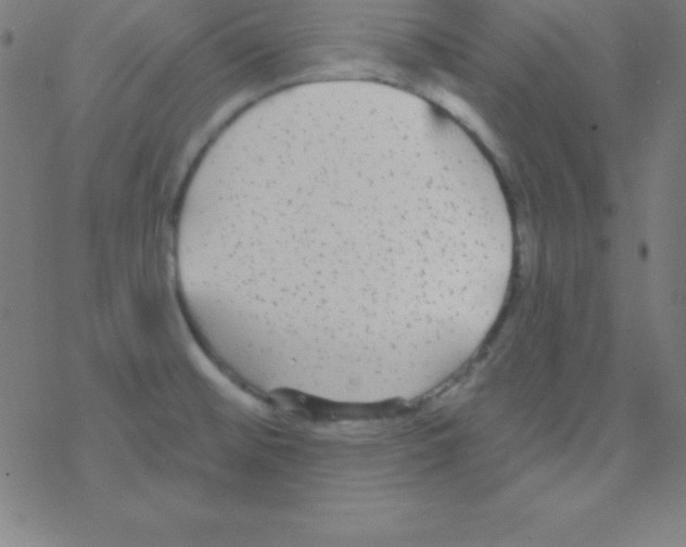 X0000078311476200612011847