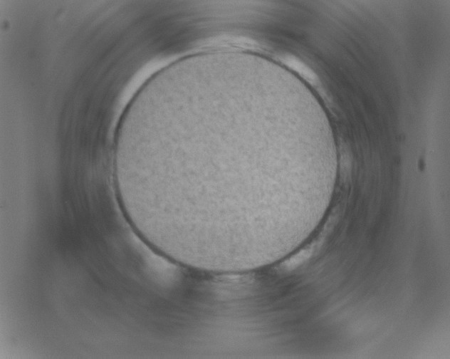 X0000078311478200612011847