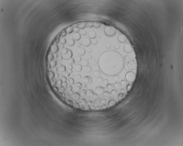 X0000078311479200612011847