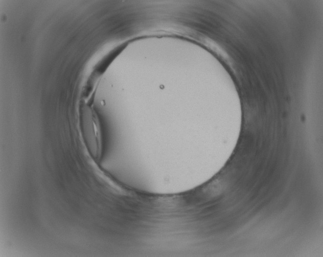 X0000078311480200612011847