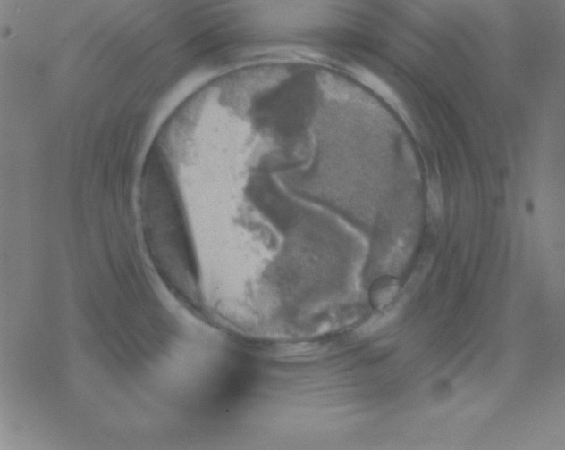 X0000078311482200612011847