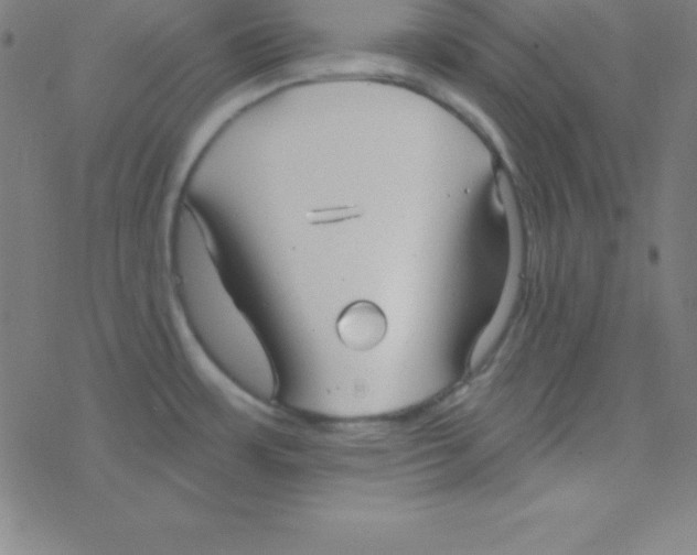 X0000078311483200612011847