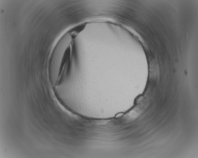 X0000078311484200612011847