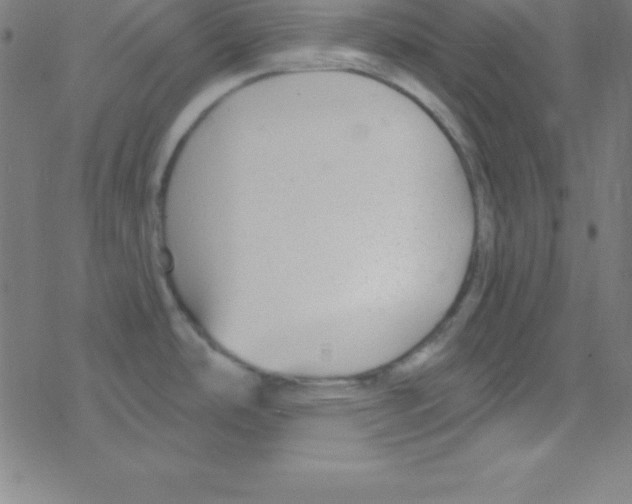 X0000078311486200612011847