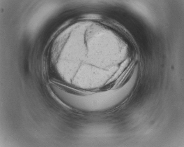 X0000078311487200612011847