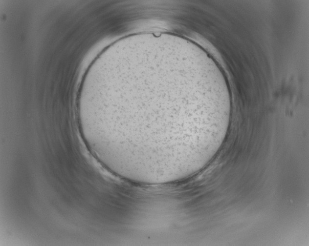 X0000078311488200612011847