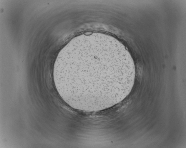 X0000078311489200612011846