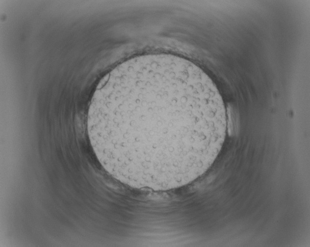 X0000078311491200612011846