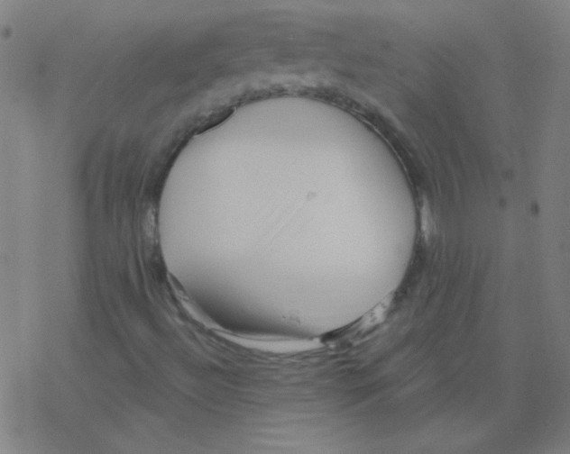 X0000078311492200612011846