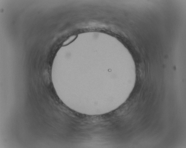 X0000078311493200612011846