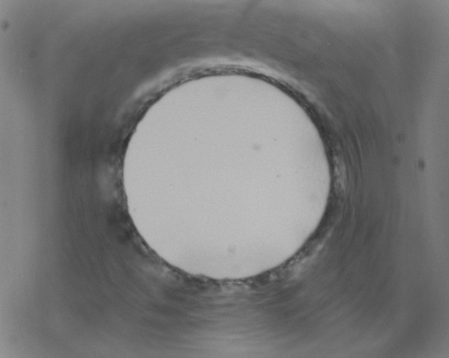 X0000078311494200612011846