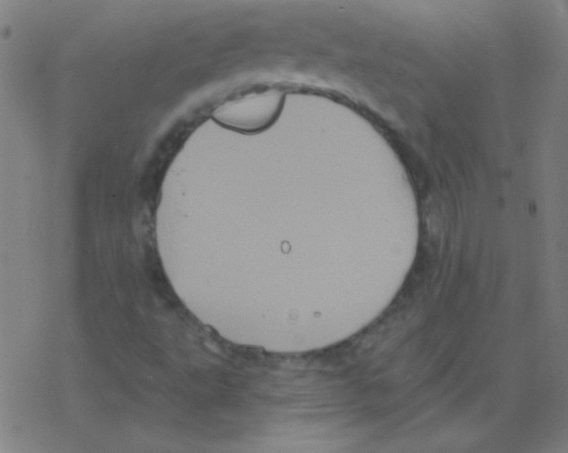 X0000078311495200612011846