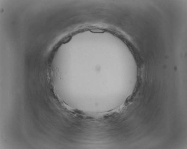 X0000078311496200612011846