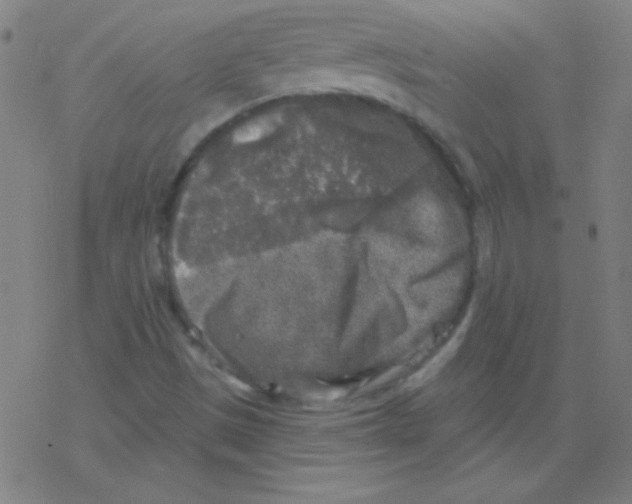 X0000078311497200612011846