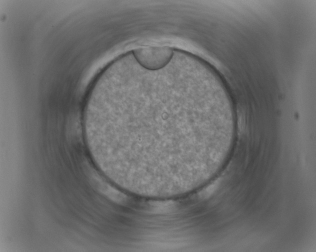 X0000078311498200612011846