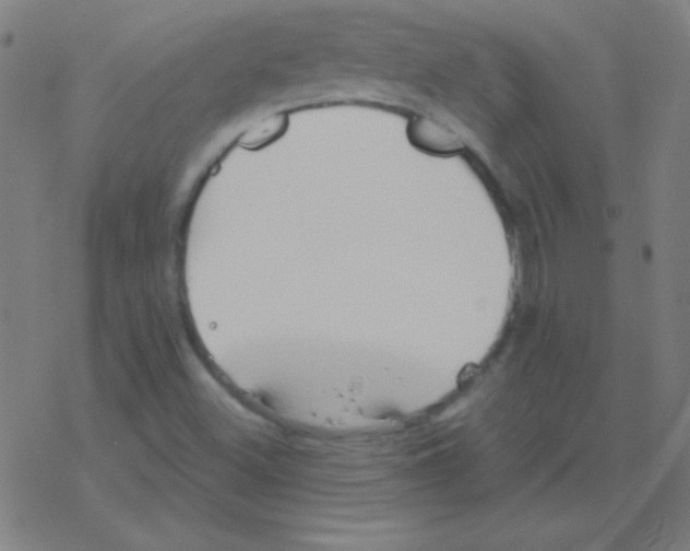 X0000078311500200612011846