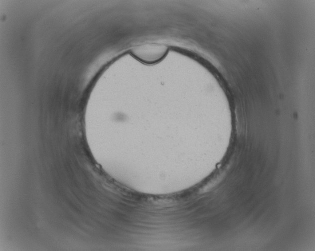 X0000078311501200612011846