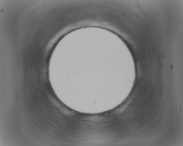 X0000078311502200612011846